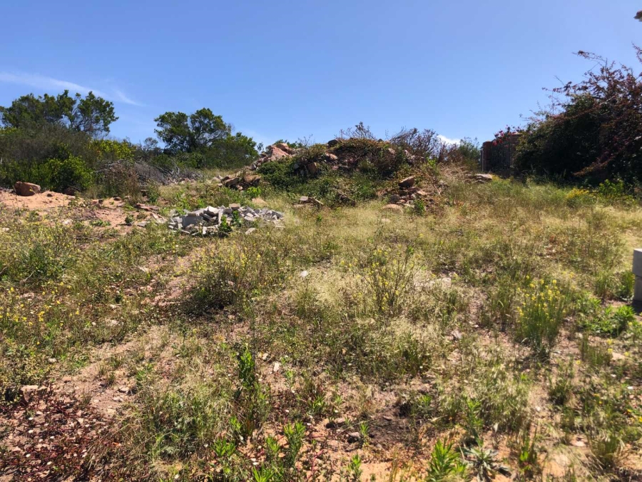 0 Bedroom Property for Sale in Island View Western Cape